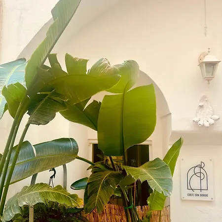 Corte San Giorgio Matino