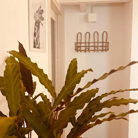 Appartement Corte San Giorgio Matino
